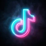 TikTok Email Access (KR)
